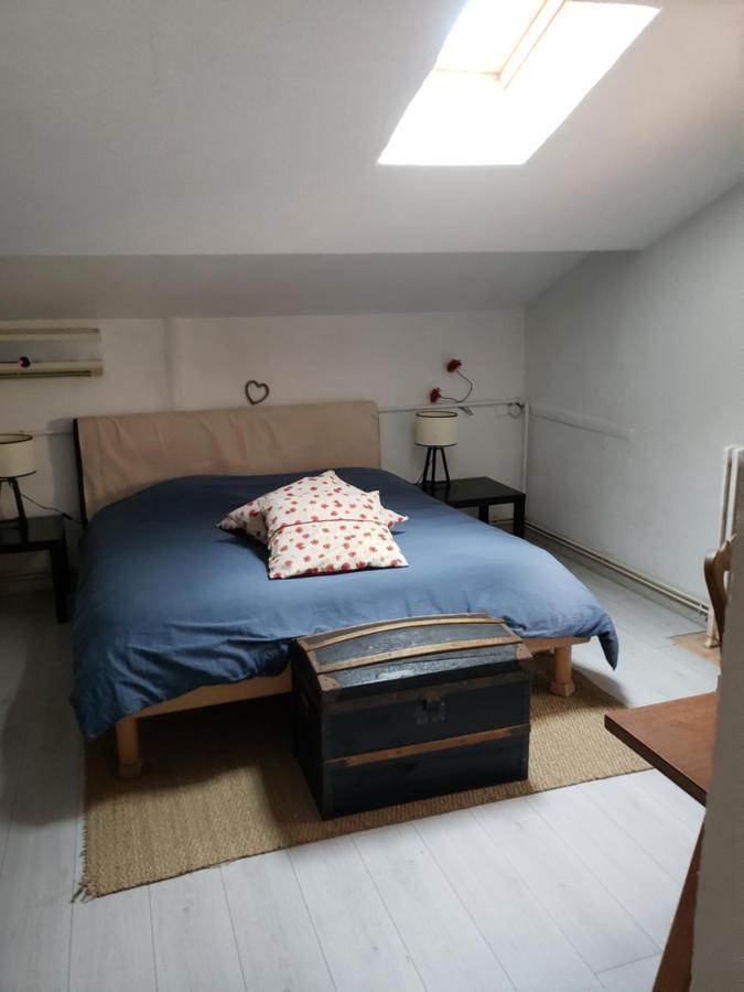 Chambre Dans Une Grande Maison Entre Canal Du Midi Et Centre Ville Béziers Exterior foto