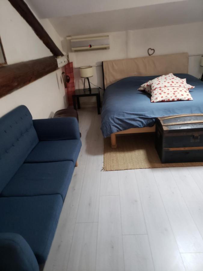 Chambre Dans Une Grande Maison Entre Canal Du Midi Et Centre Ville Béziers Exterior foto